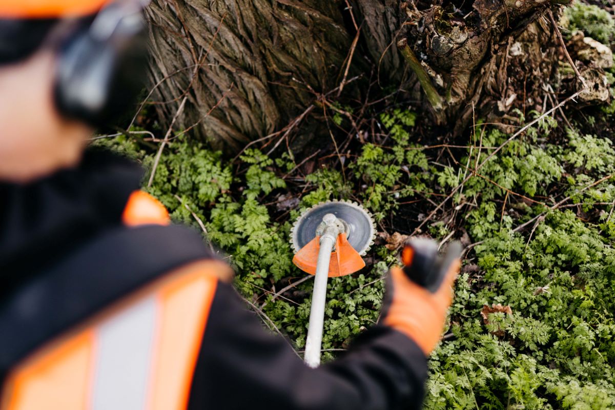 Man is aan het werk als groenvoorziener